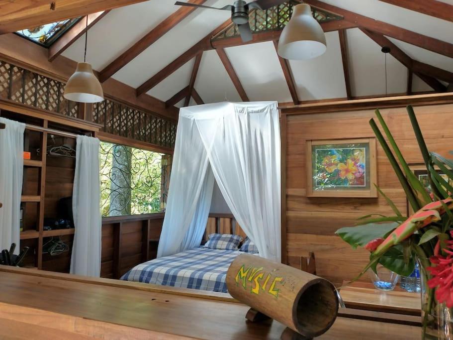 Casa Mona, Jungle vibes adults only