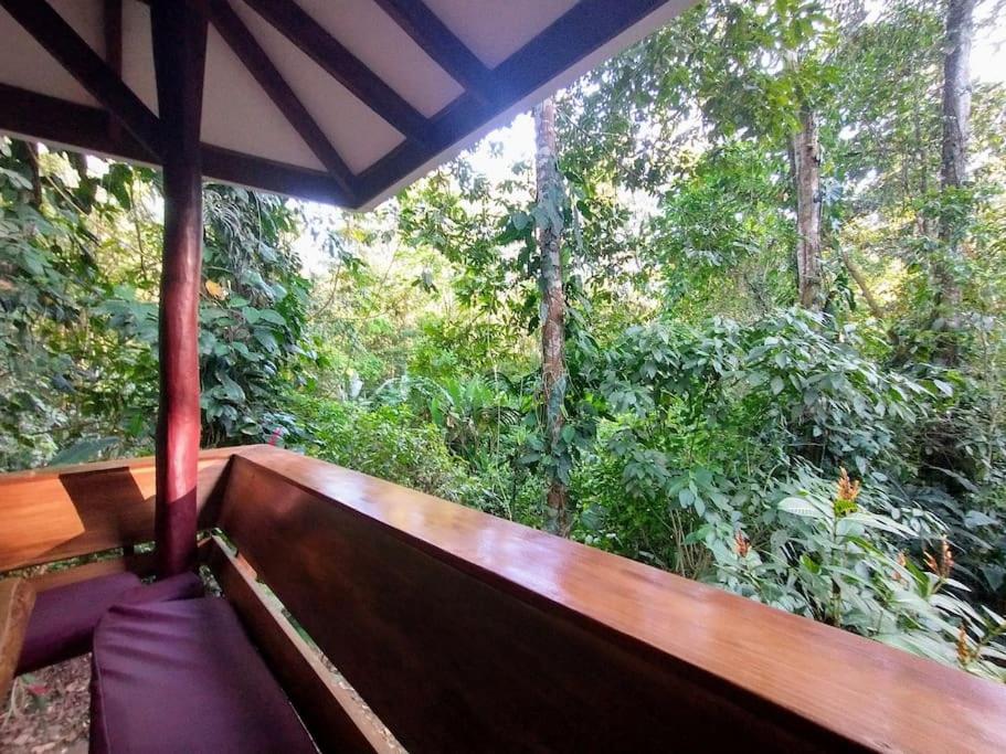Casa Mona, Jungle vibes adults only