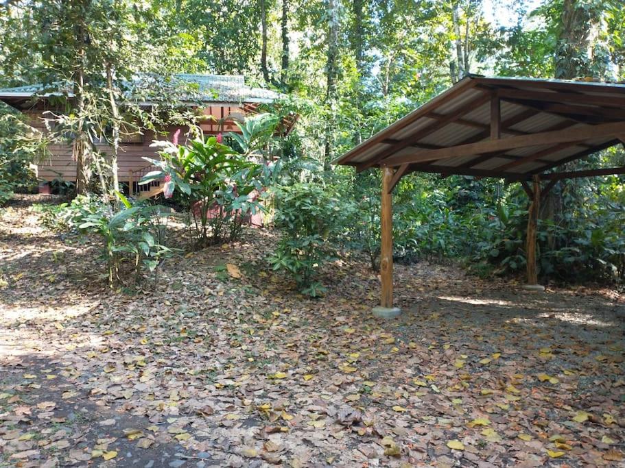 Casa Mona, Jungle vibes adults only