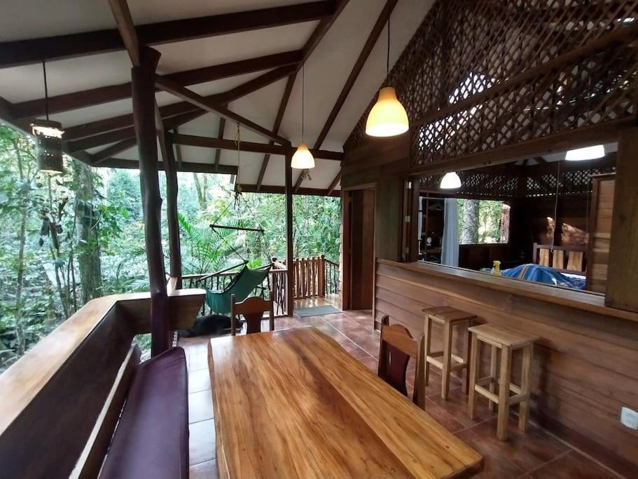 Casa Mona, Jungle vibes adults only
