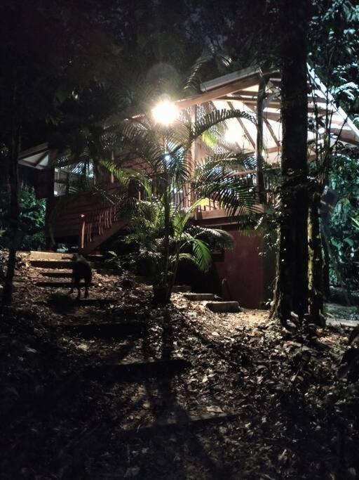Casa Mona, Jungle vibes adults only
