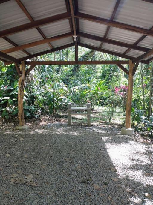Casa Mona, Jungle vibes adults only
