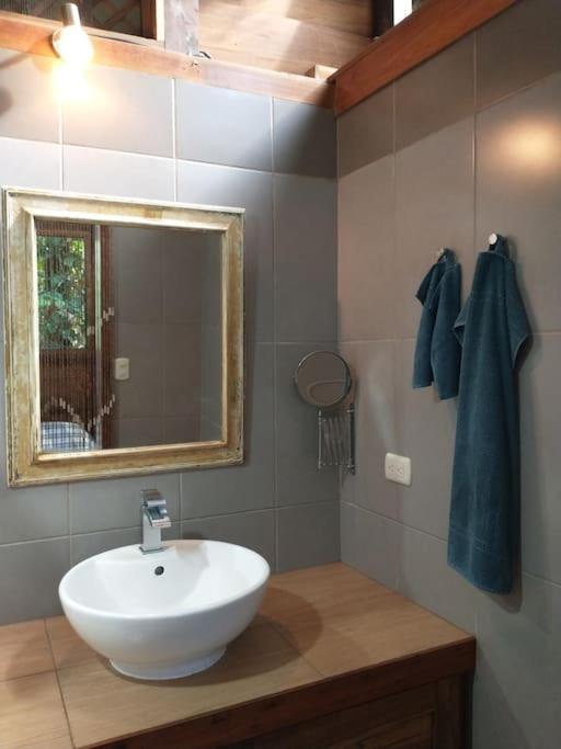 Casa Mona, Jungle vibes adults only