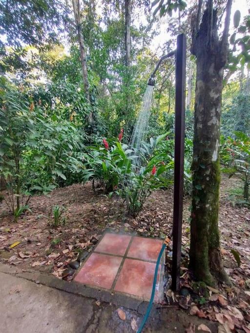 Casa Mona, Jungle vibes adults only