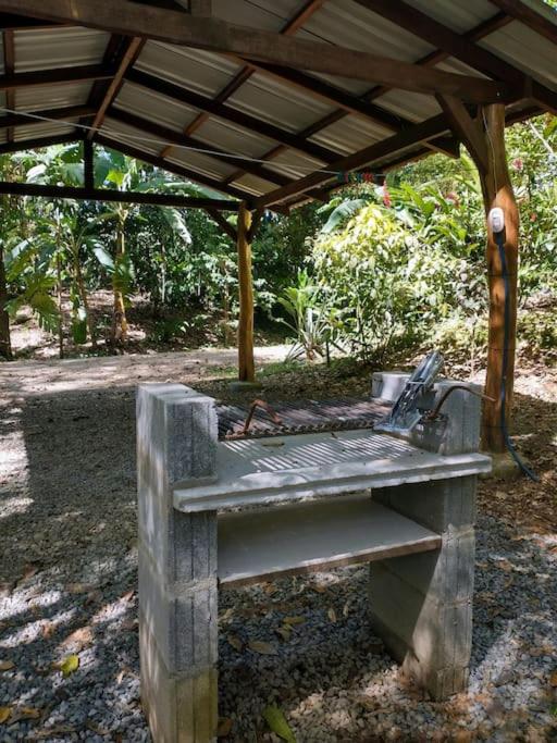 Casa Mona, Jungle vibes adults only
