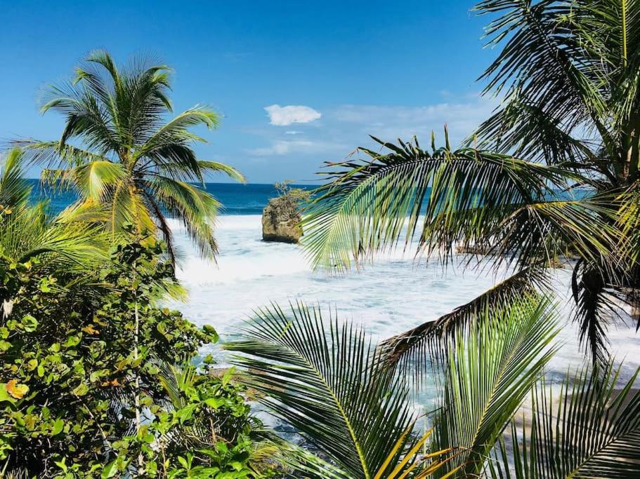 Casa Mona, Jungle vibes adults only