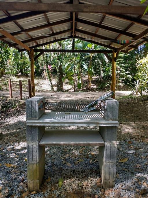 Casa Mona, Jungle vibes adults only