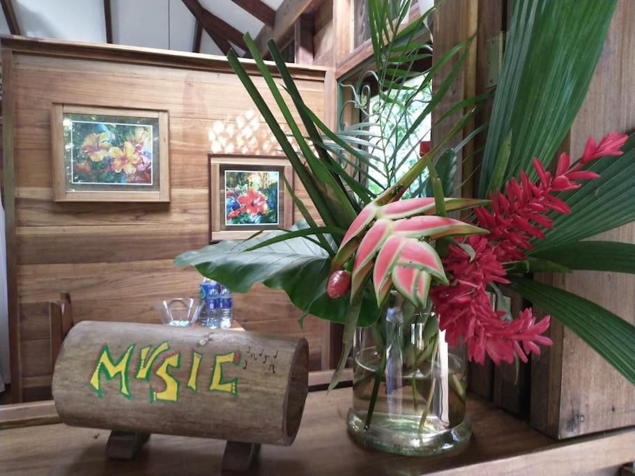 Casa Mona, Jungle vibes adults only