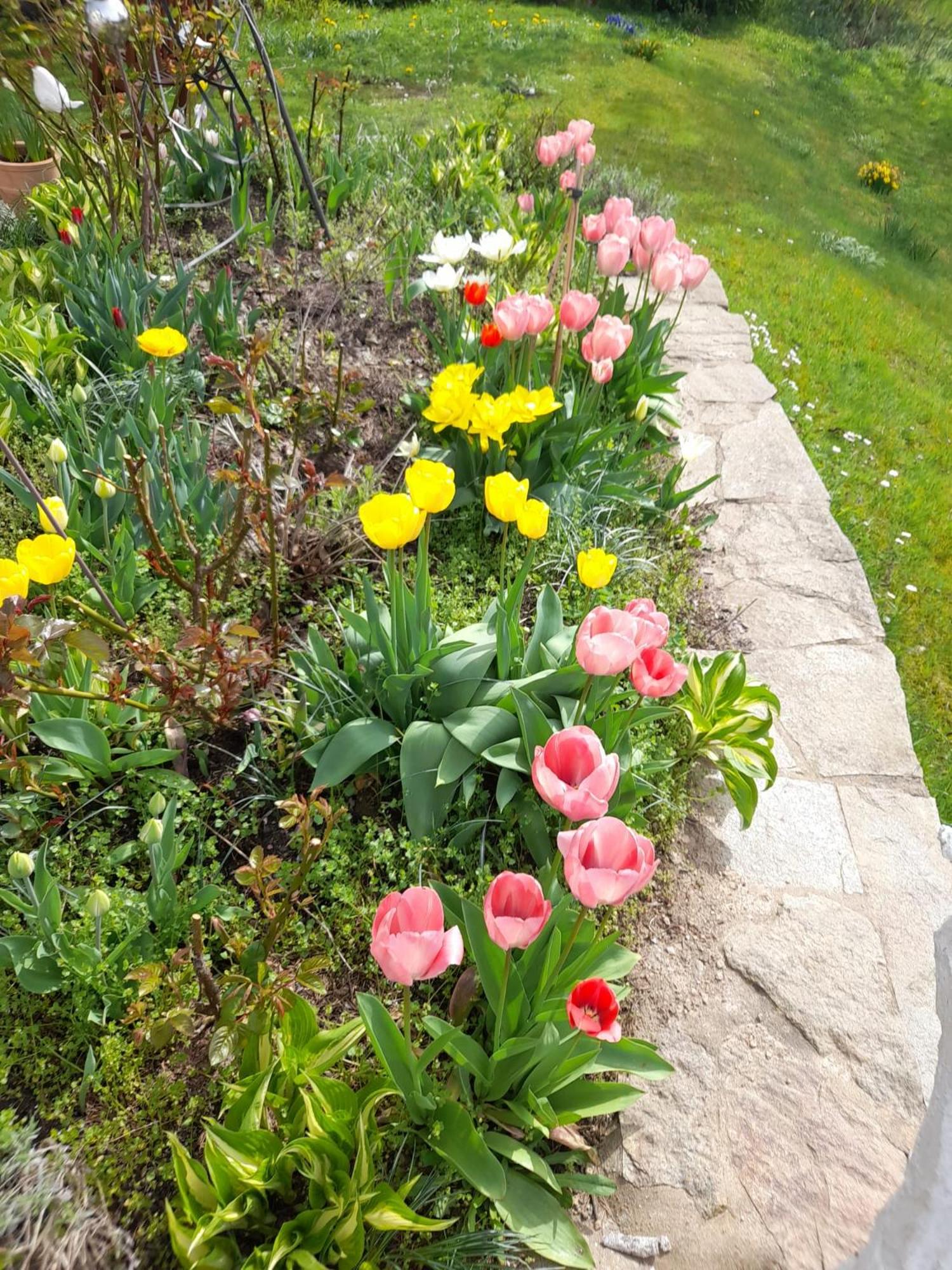 Photo 16