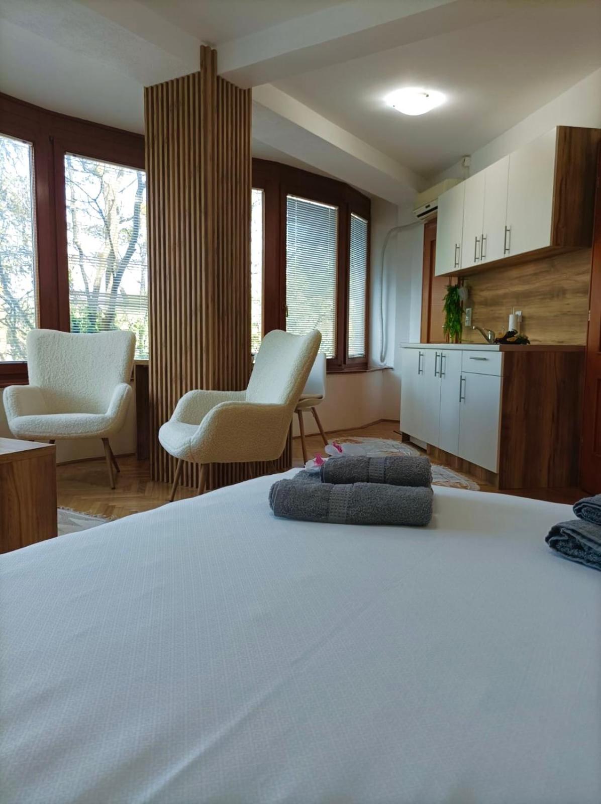 Apartman Rajska Banja view 2