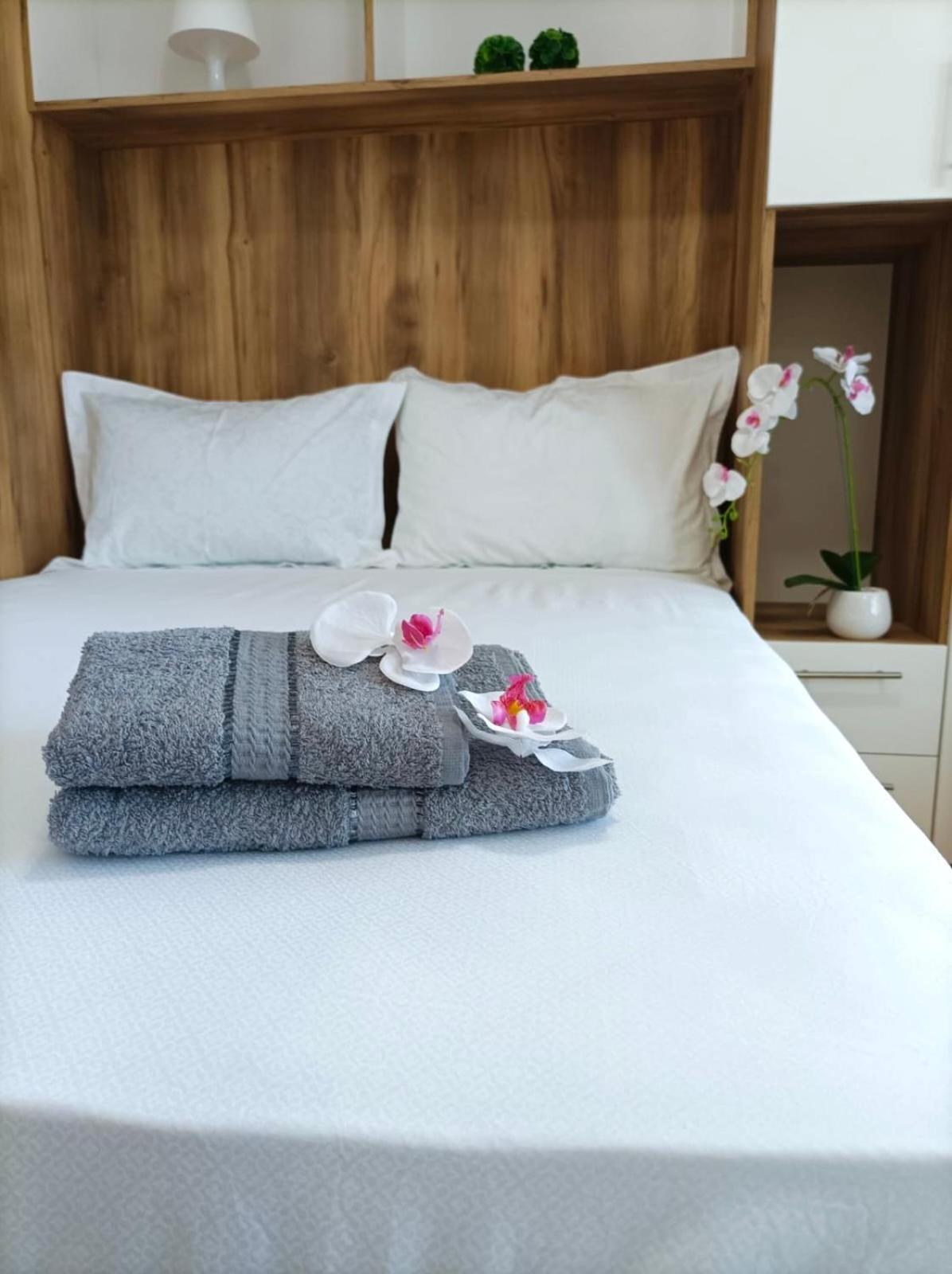 Apartman Rajska Banja view 5