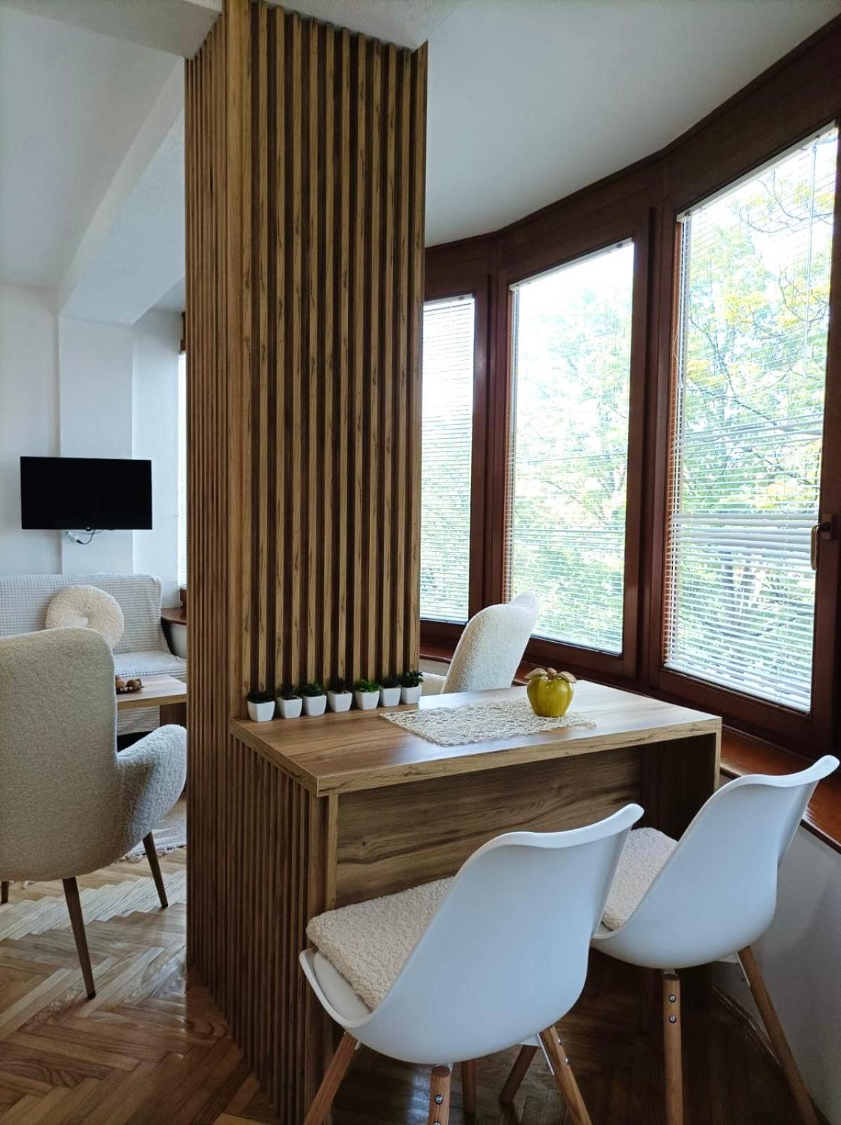 Apartman Rajska Banja view 3