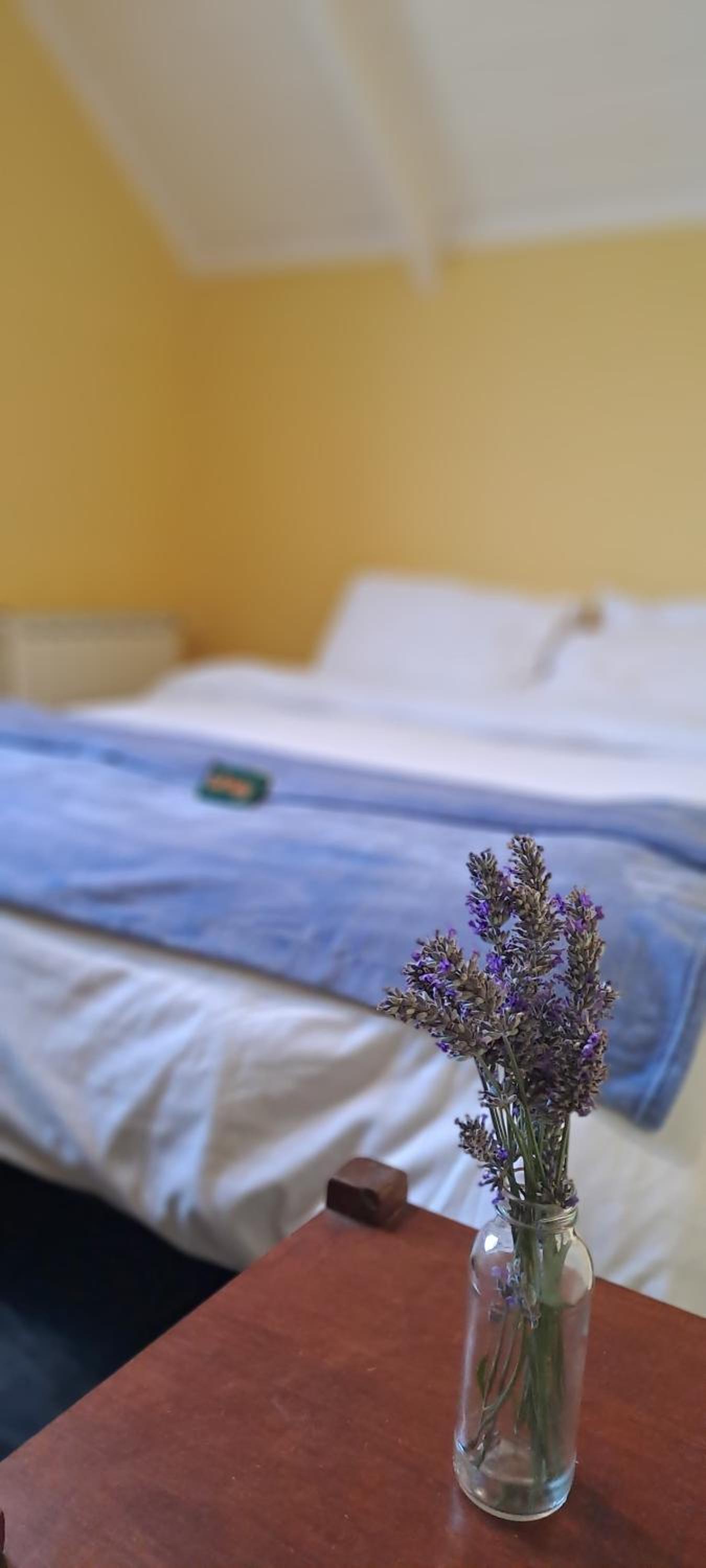 Hostel Wenuy-