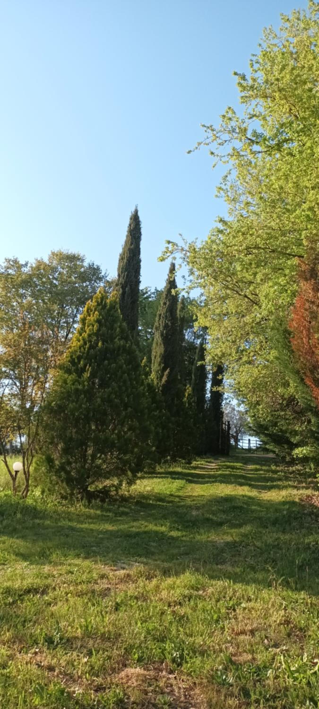 Photo 34