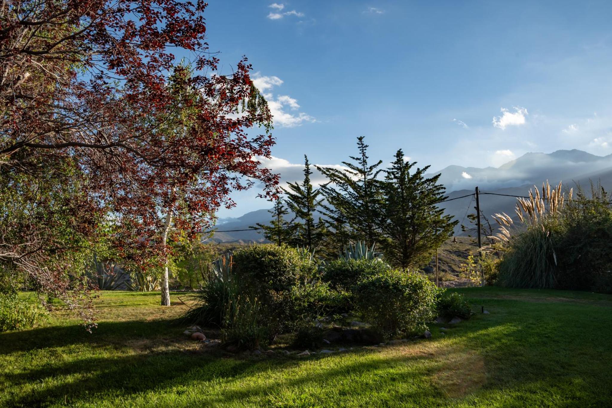 Acogedora cabaña de madera con vista a la montaña