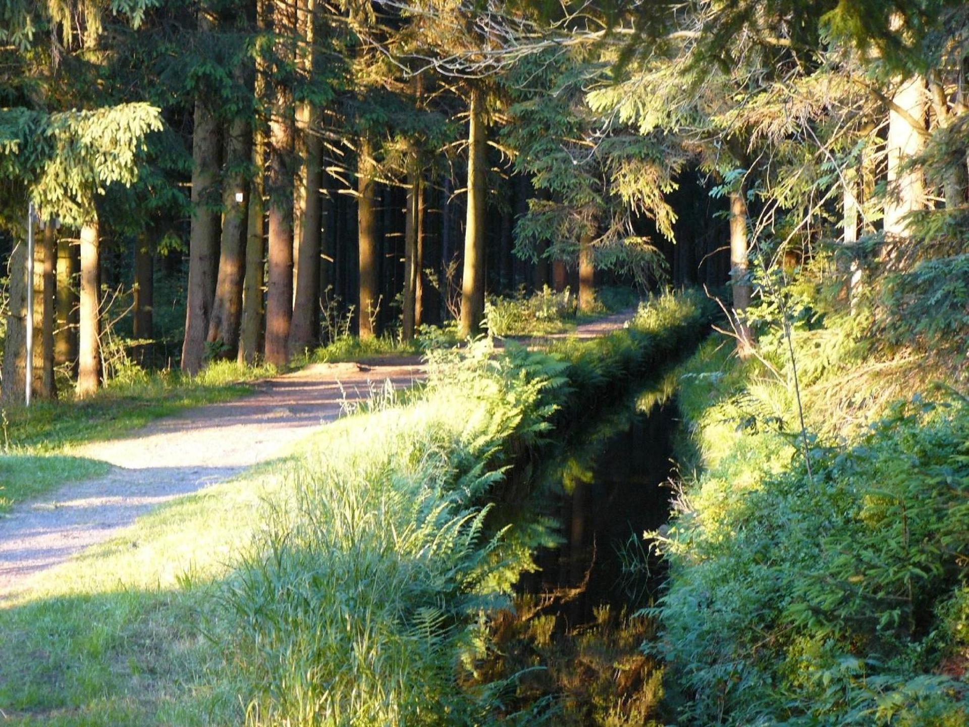 Ferienwohnung für 6 Personen ca 56 qm in Altenau, Harz Oberharz