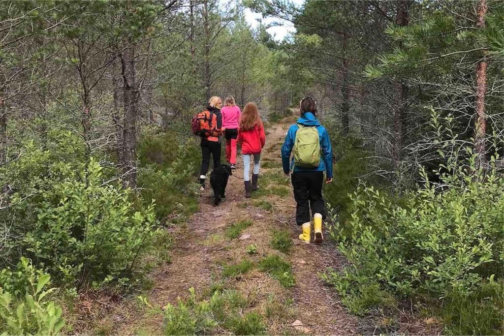 Kalles, skärgårdsidyll med utsikt över Hamnsundet