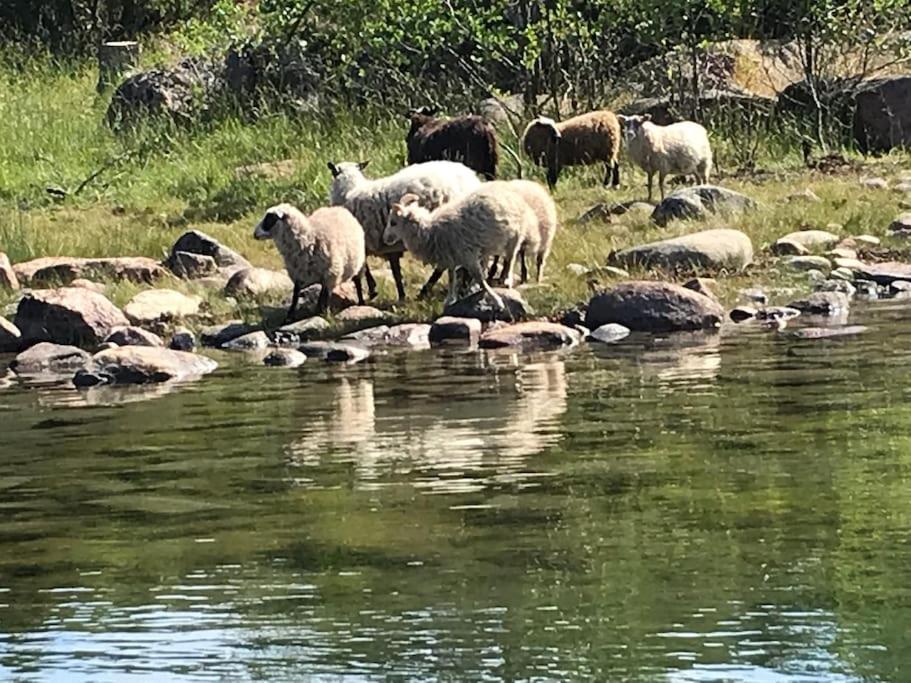 Kalles, skärgårdsidyll med utsikt över Hamnsundet