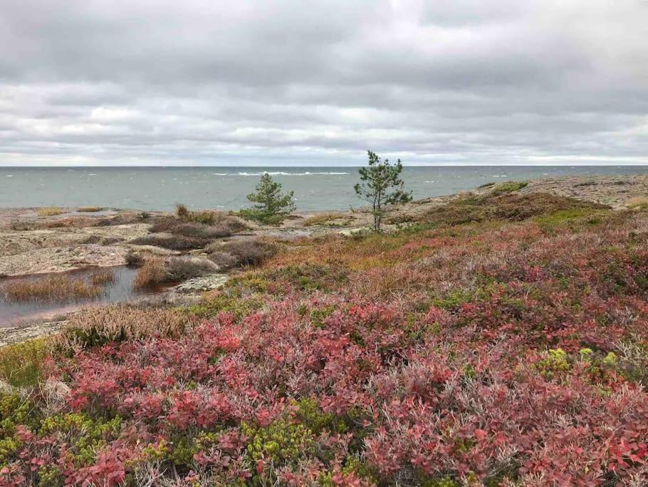 Kalles, skärgårdsidyll med utsikt över Hamnsundet