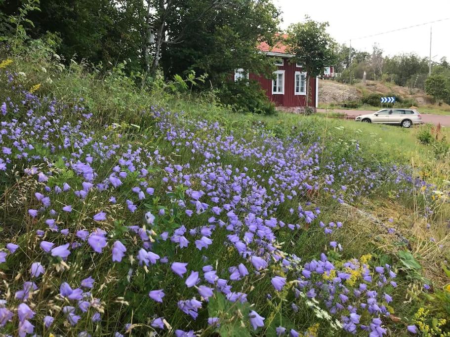 Kalles, skärgårdsidyll med utsikt över Hamnsundet