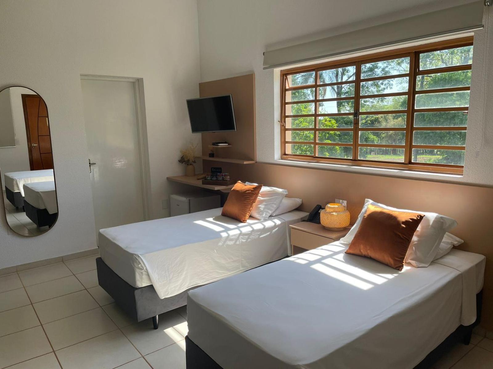 Photo 234