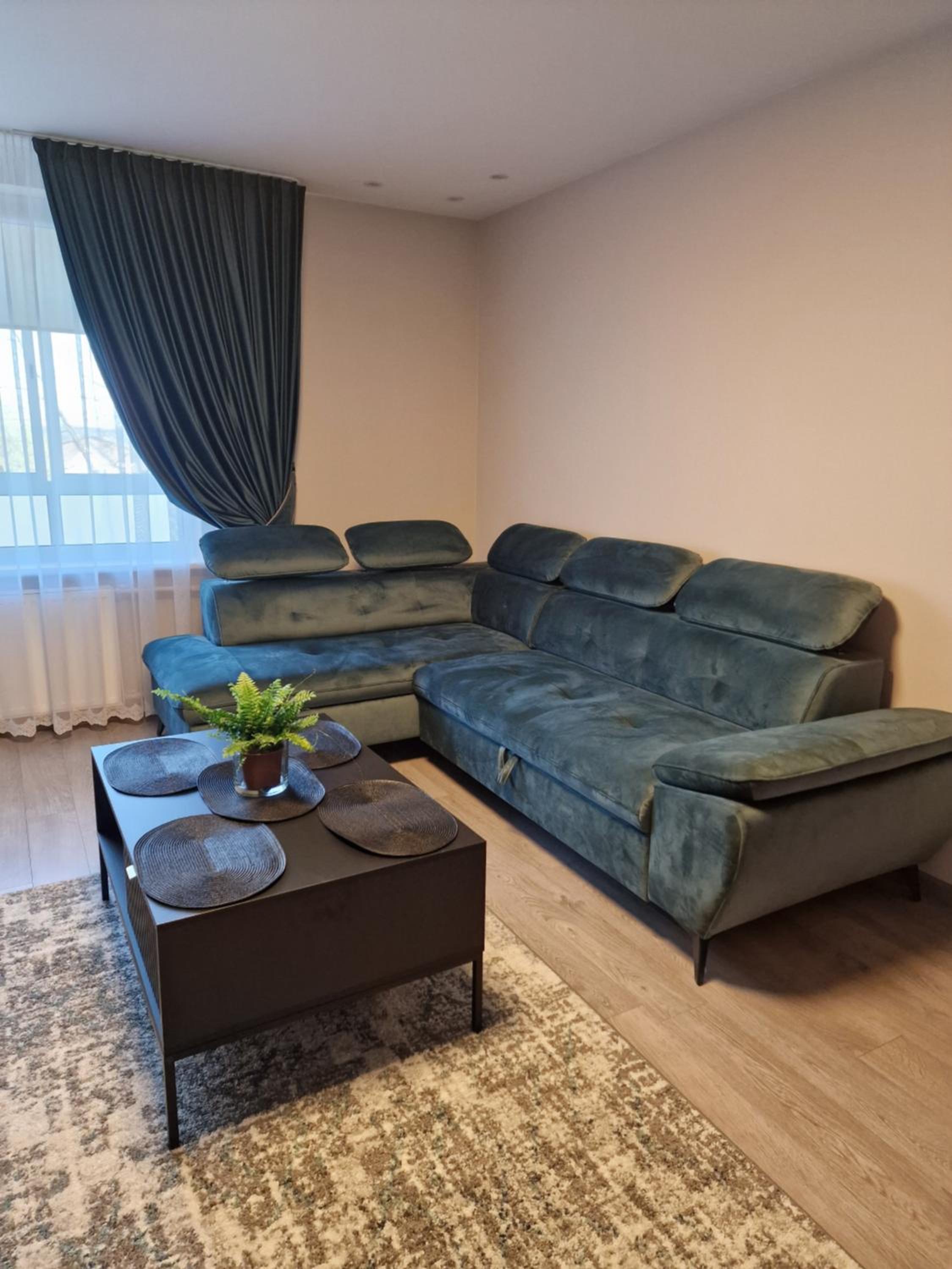 Dviejų kambarių butas