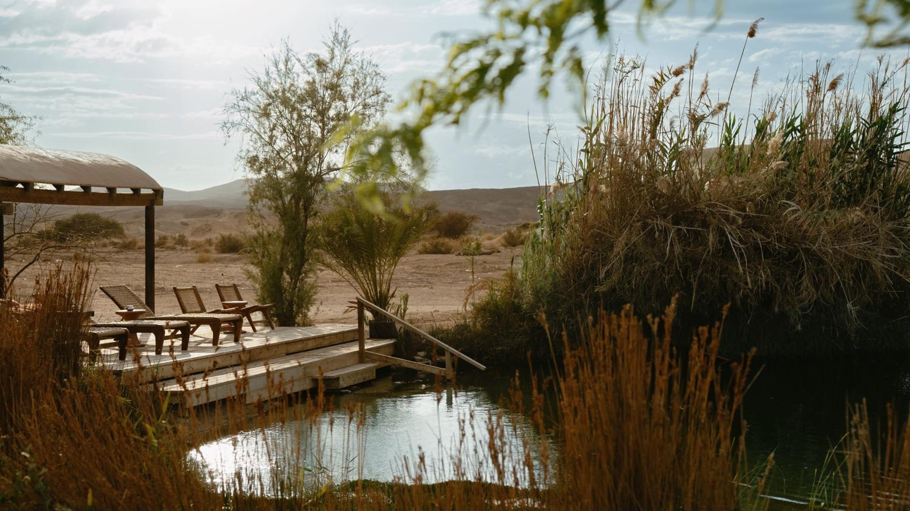 MOA Living - Desert Stay with Shelter Access