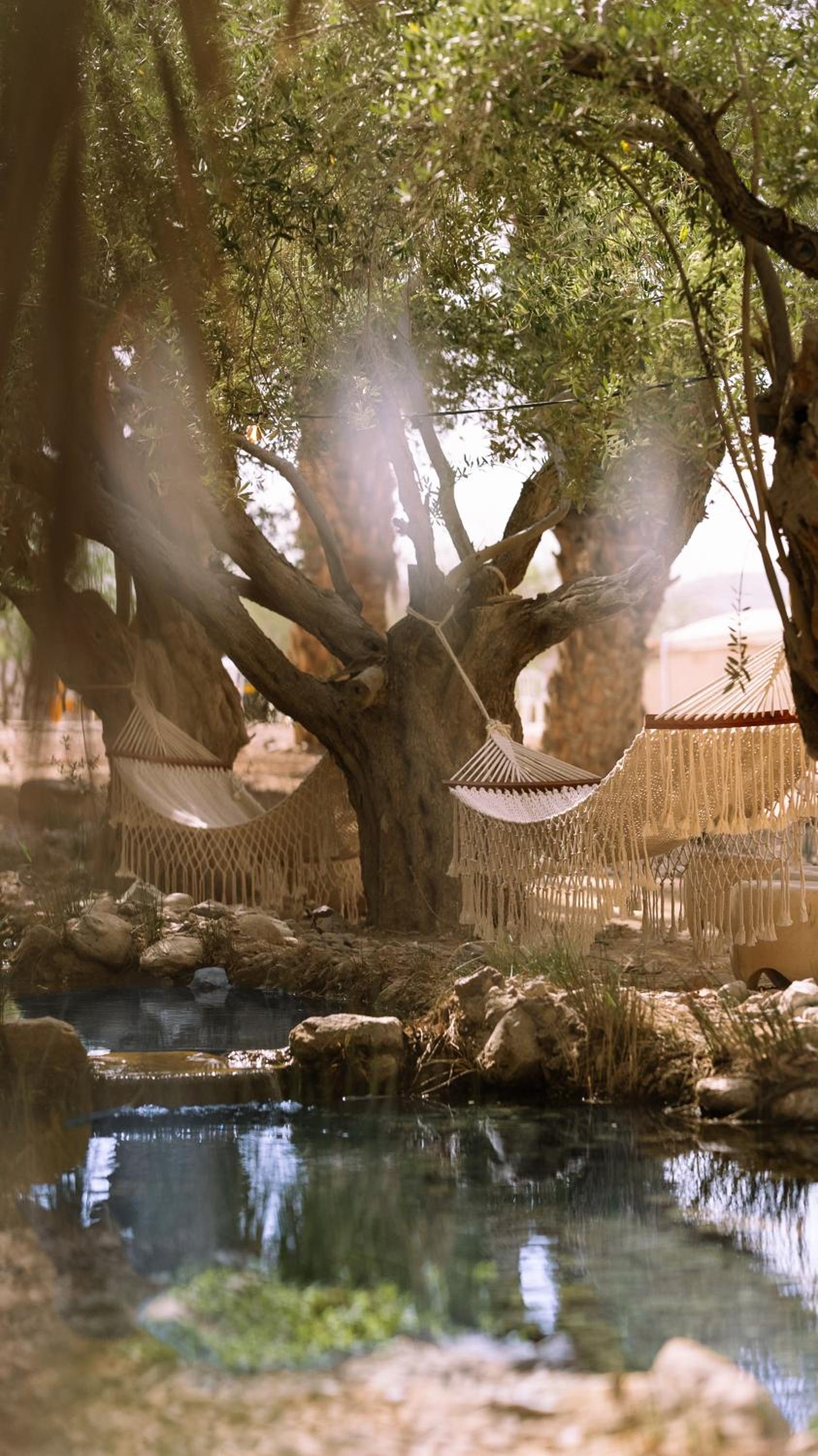 MOA Living - Desert Stay with Shelter Access
