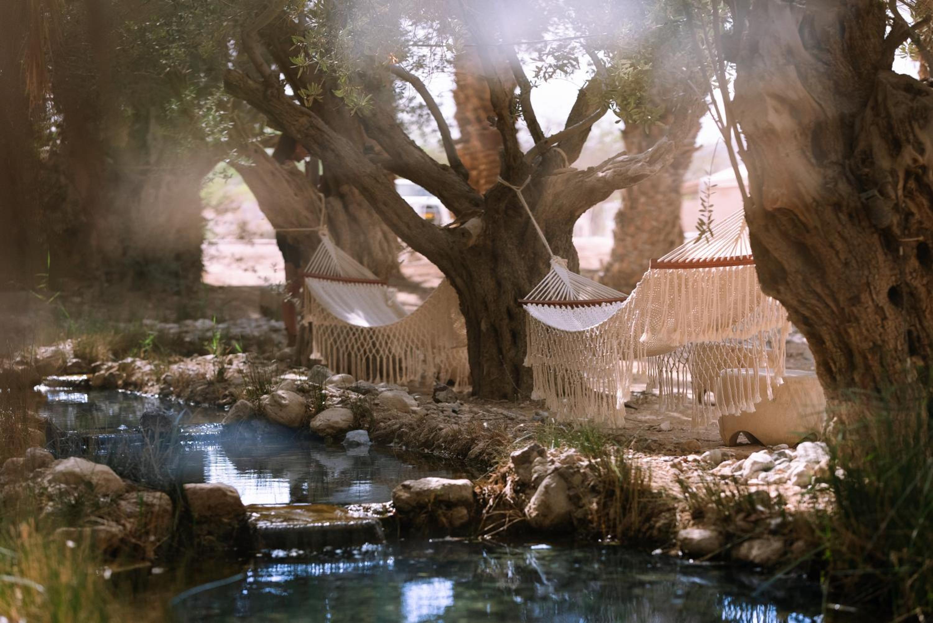 MOA Living - Desert Stay with Shelter Access