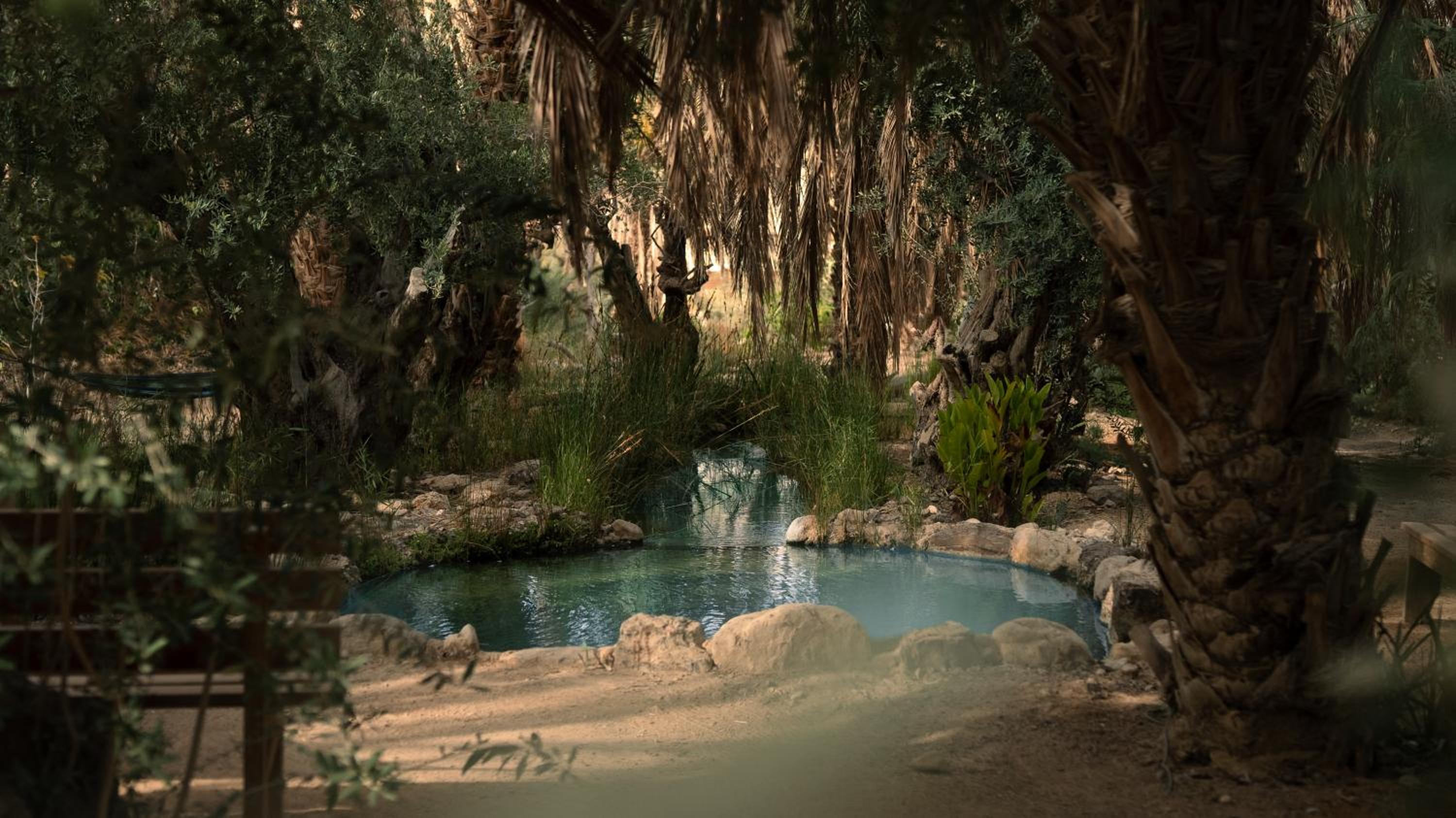 MOA Living - Desert Stay with Shelter Access