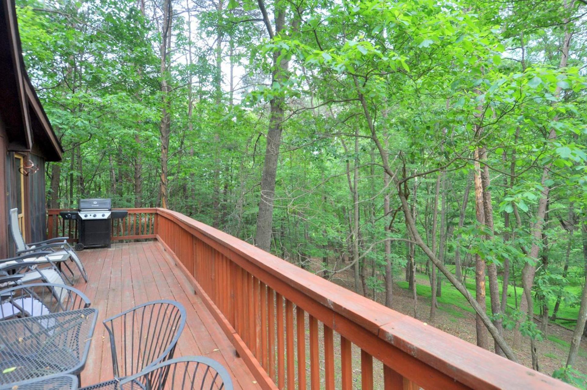 Fox Hollow - Hot Tub, Wifi, Pet Friendly, Screen Porch, Deck, Recreation Center, Pool Access, Golf Nearby, Hiking, Grill, Fireplace, King Bed view 4