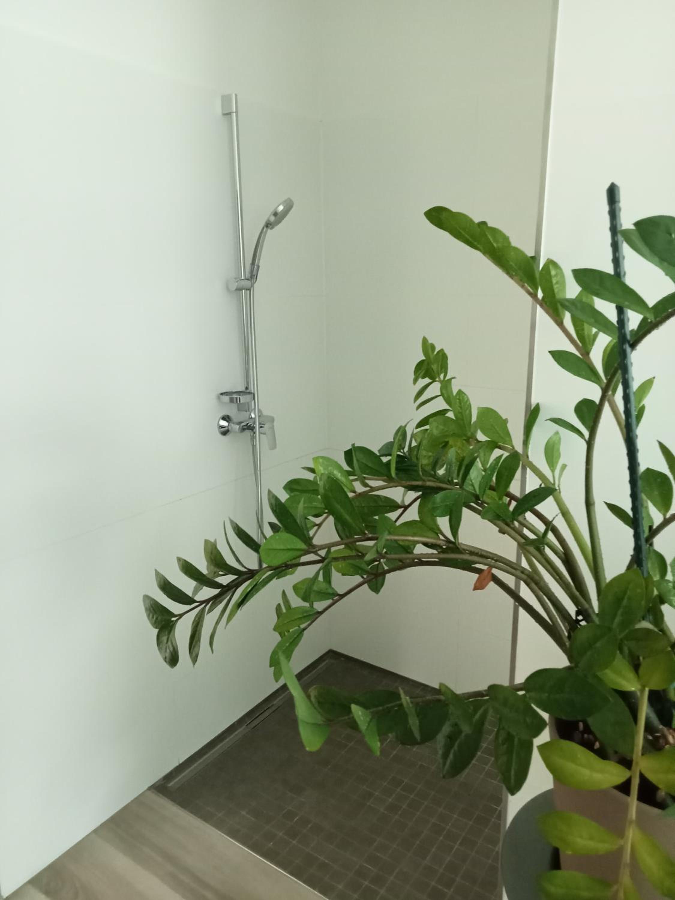 Ruhiges Apartment mit Terrasse und kostenlosem Parkplatz, ideal für Berlin-Besucher, Stadtgrün 1