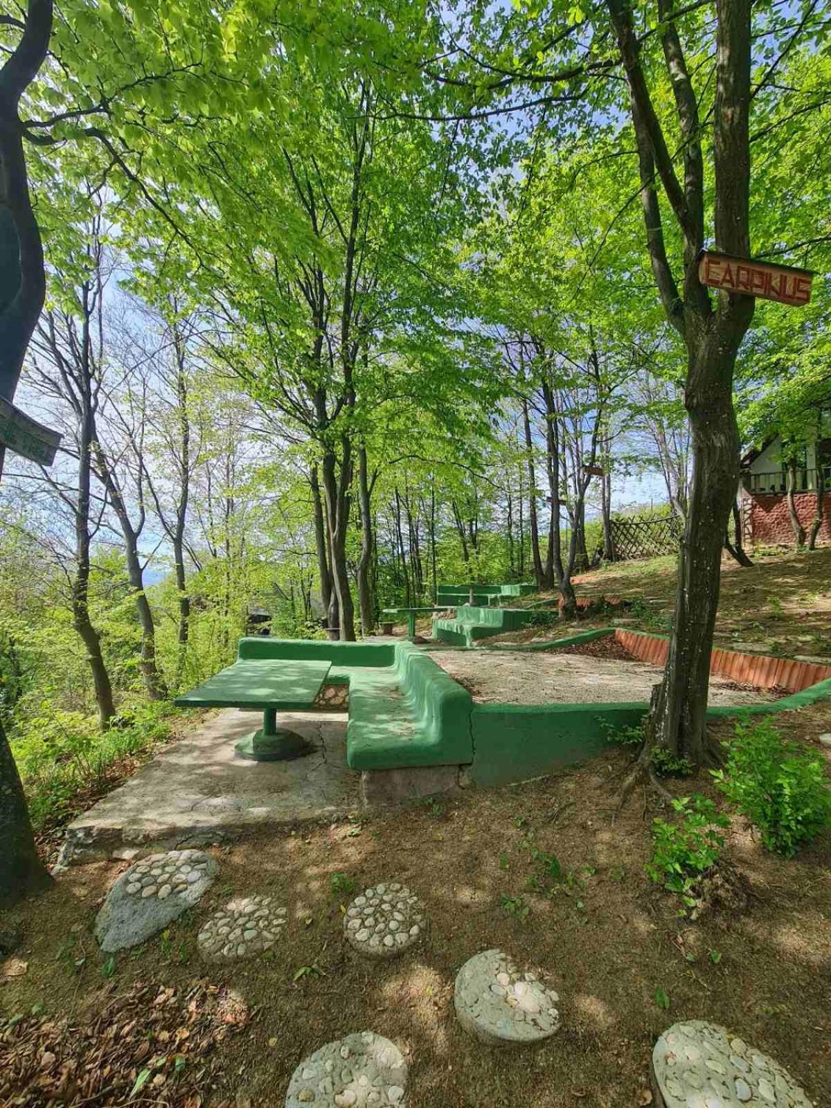 Cabin 3 Hill Station