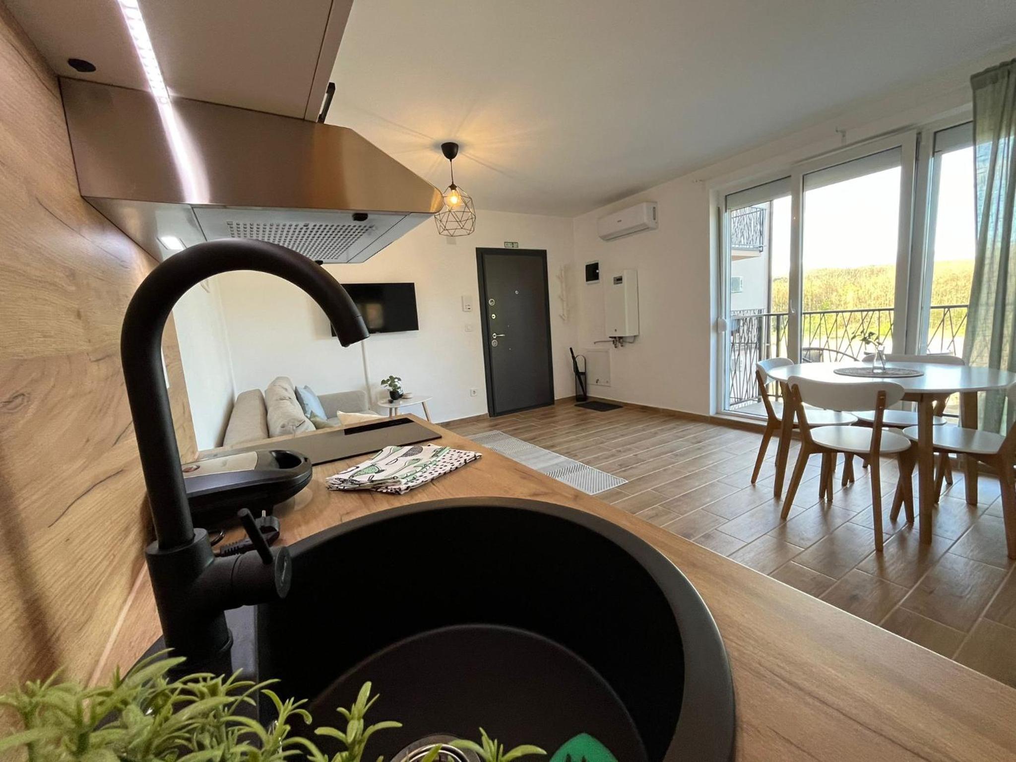 Apartmani Živković view 4