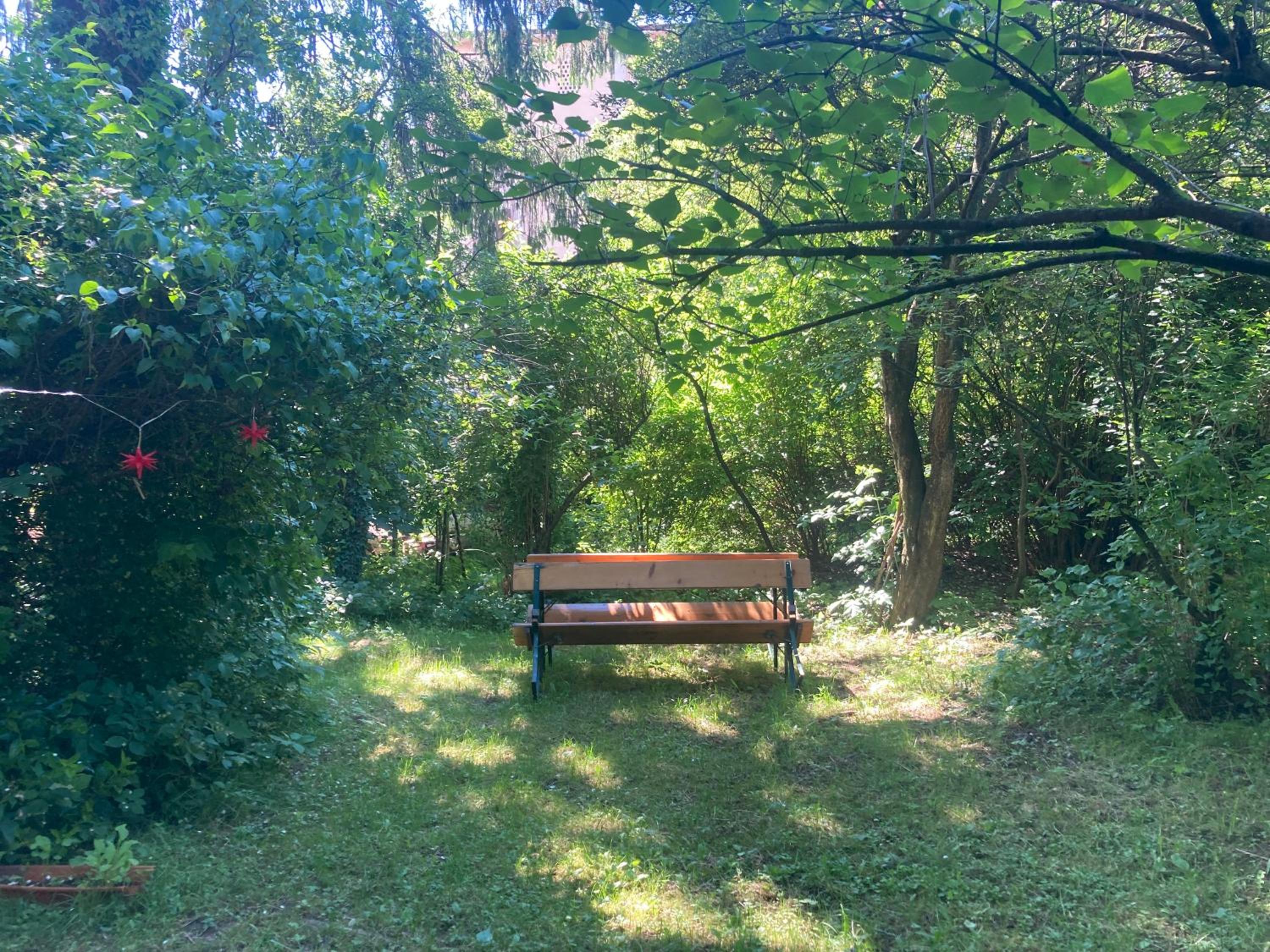 Photo 29