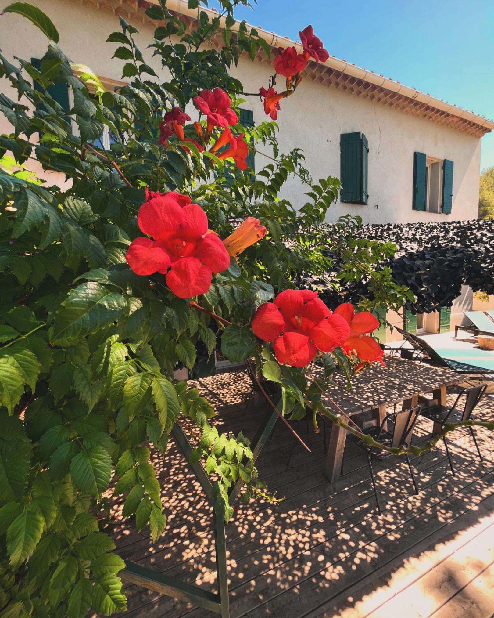 Villavos- Le Bocage - Ancienne bastide Au charme authentique - piscine et jardin privés - 12 pers - Cassis, photo 37