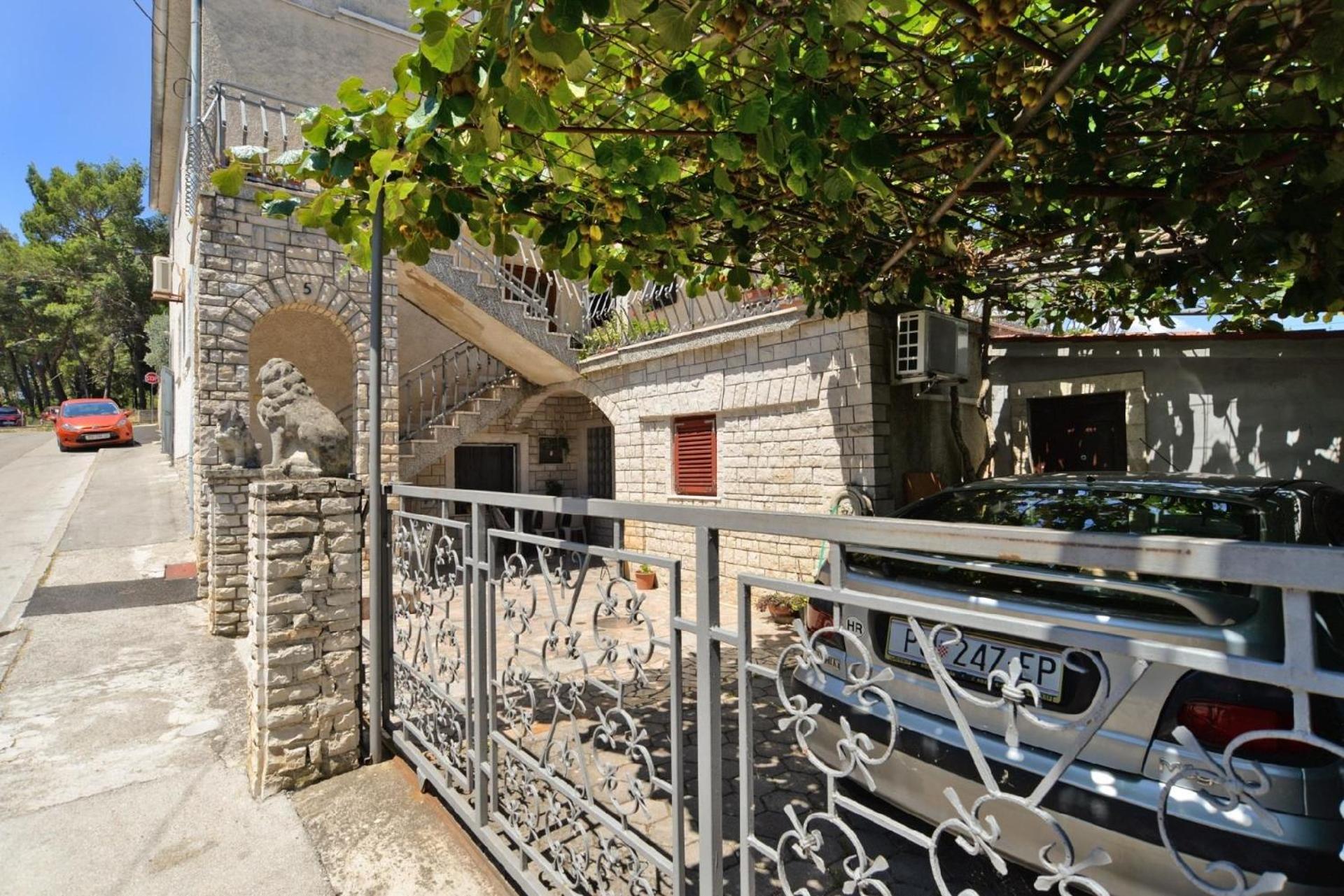 Photo 7