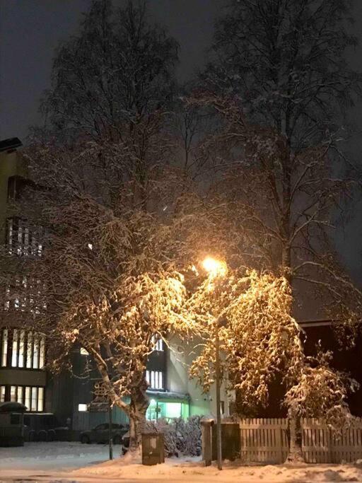 Christmas Elf’s city home view 4