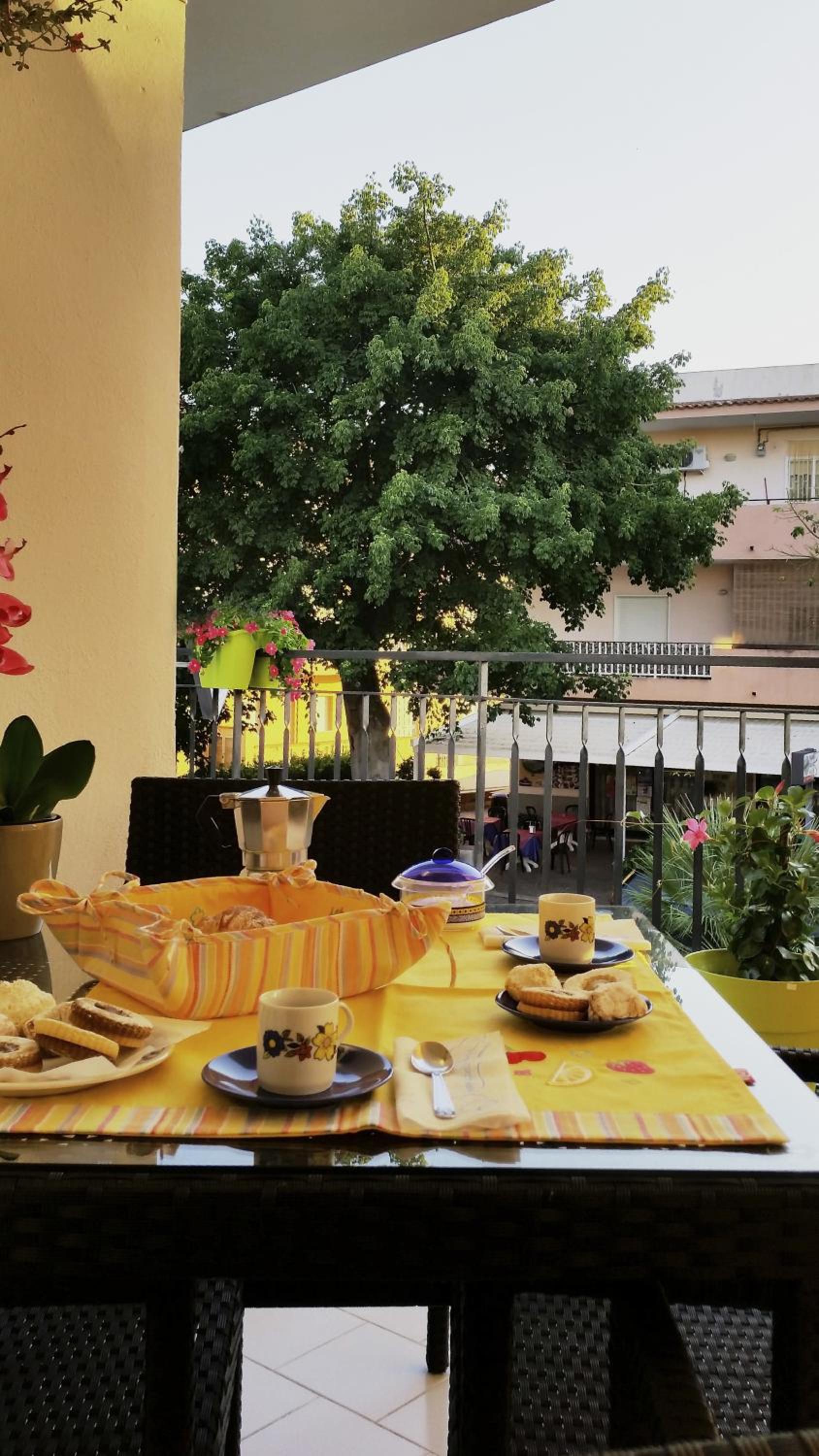balance & terrace