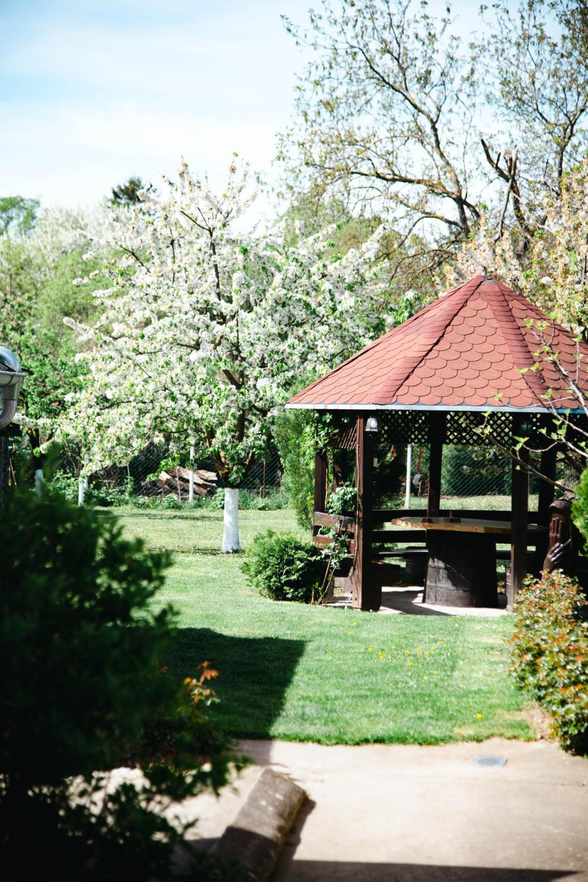 Photo 16