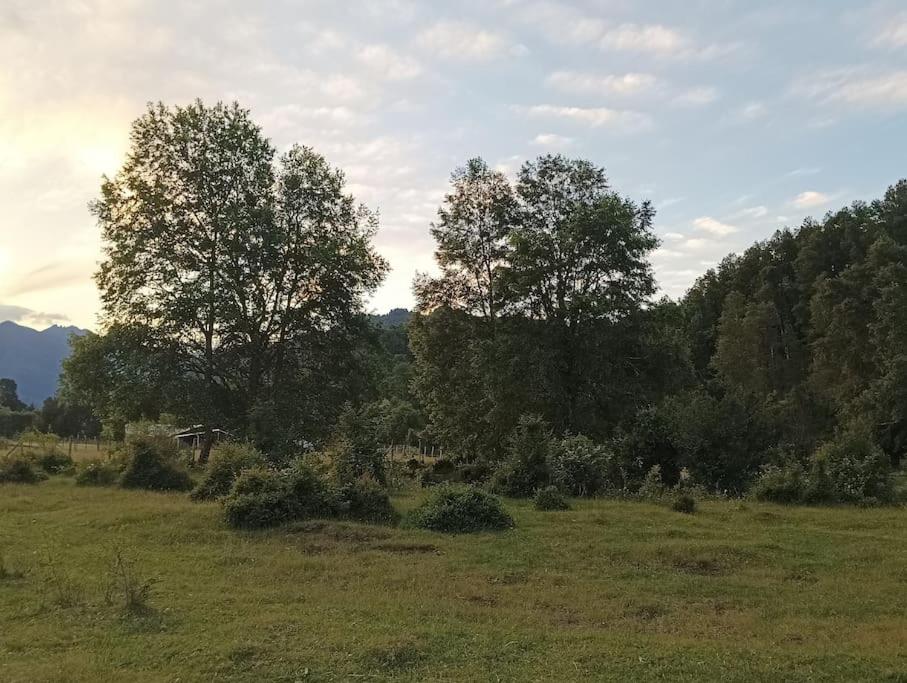 Cabaña Kallfü Mahuida