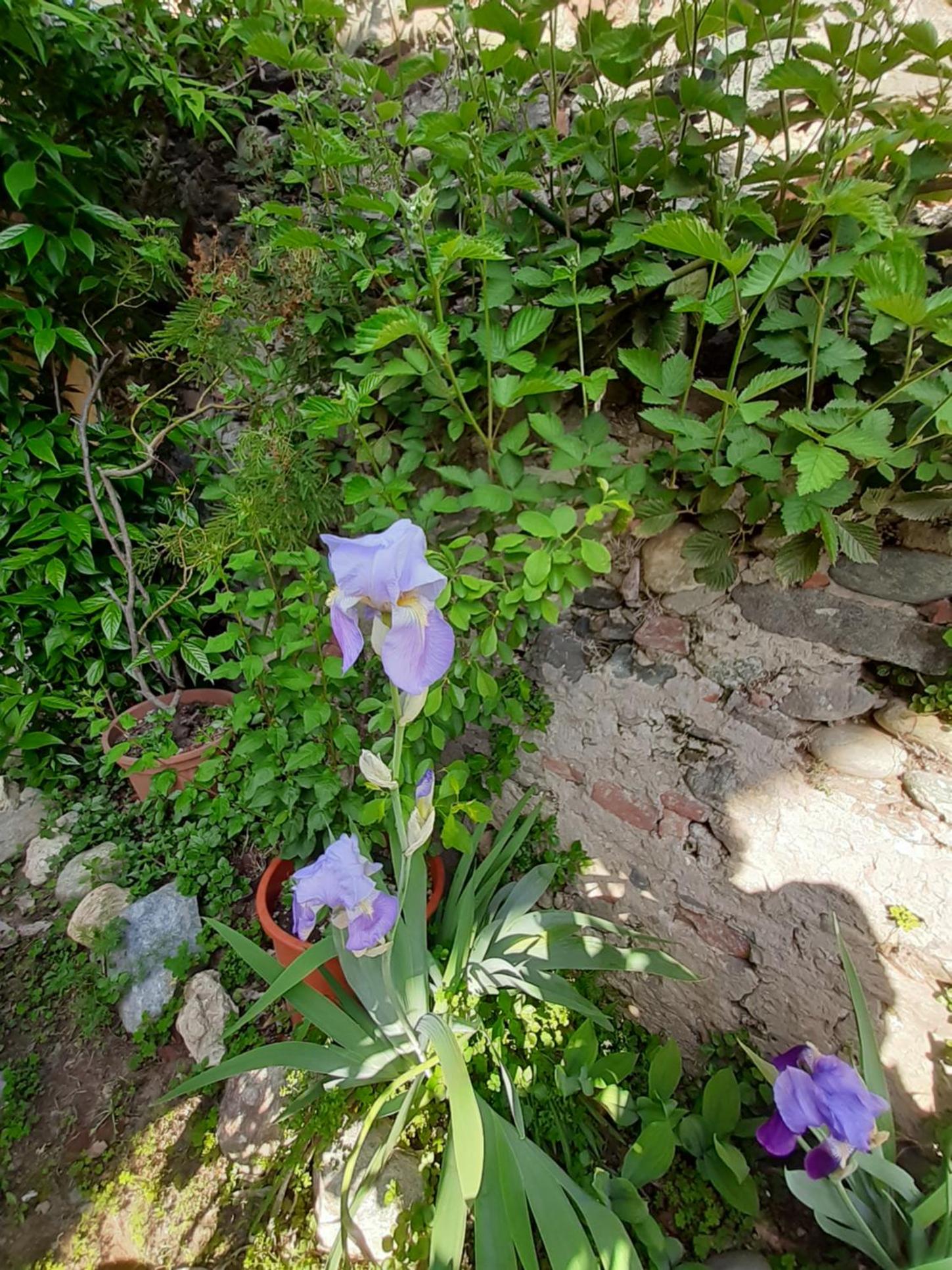 Photo 24
