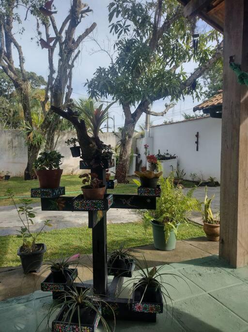 Casa do Sol, luz e Vida.