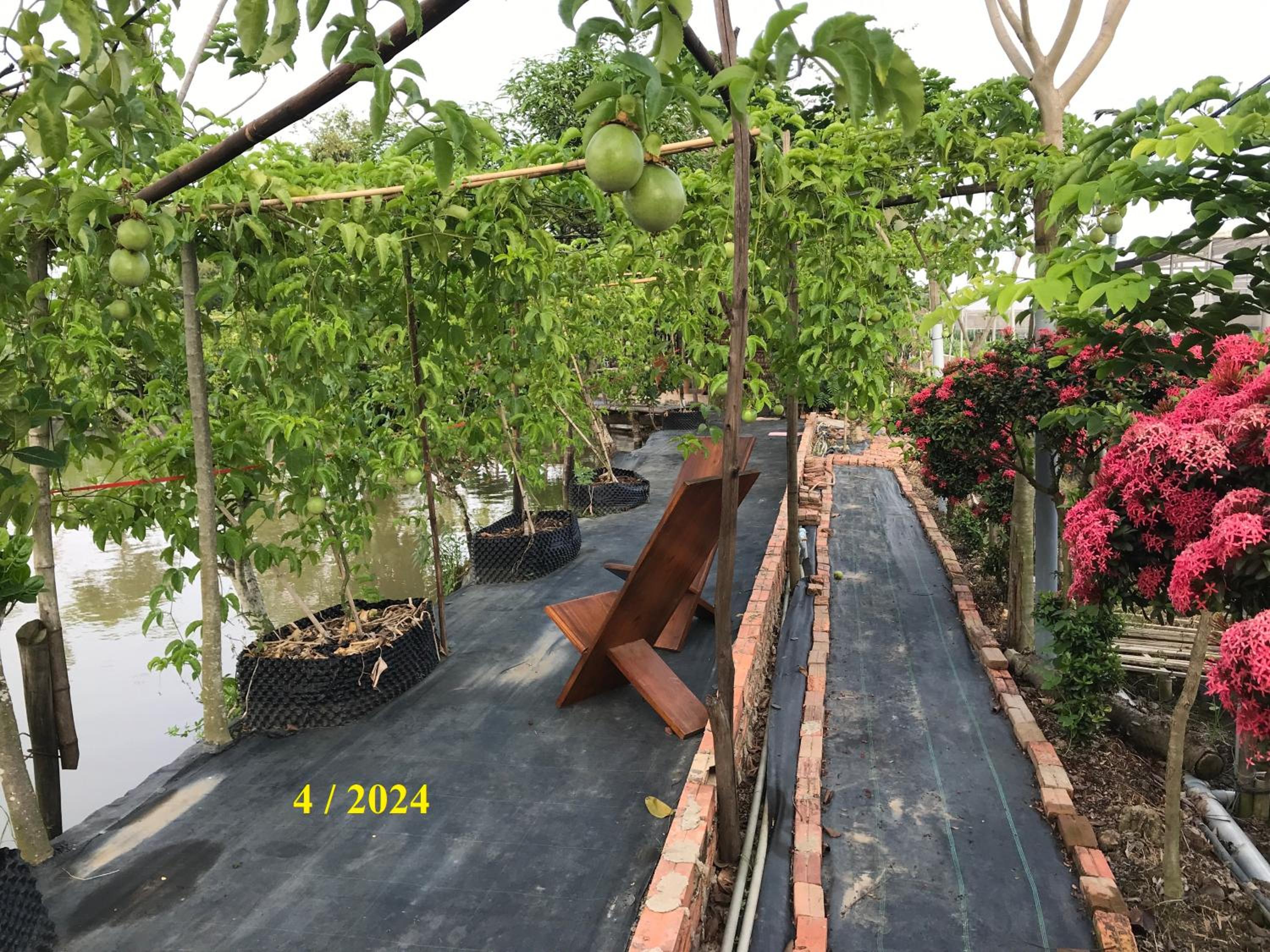 Photo 29