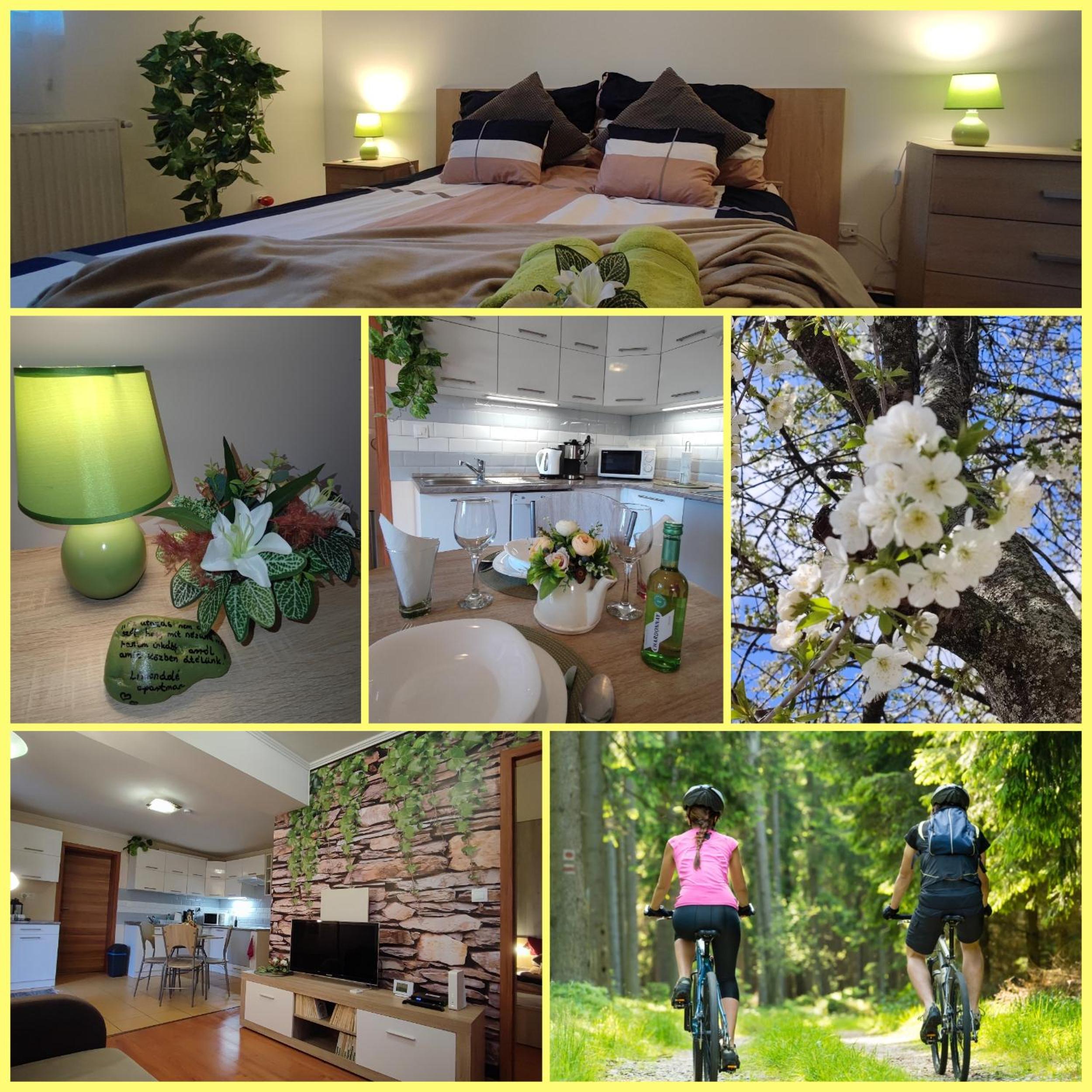 Limonádé Apartman AC Agárd Élményfürdő mellett view 4