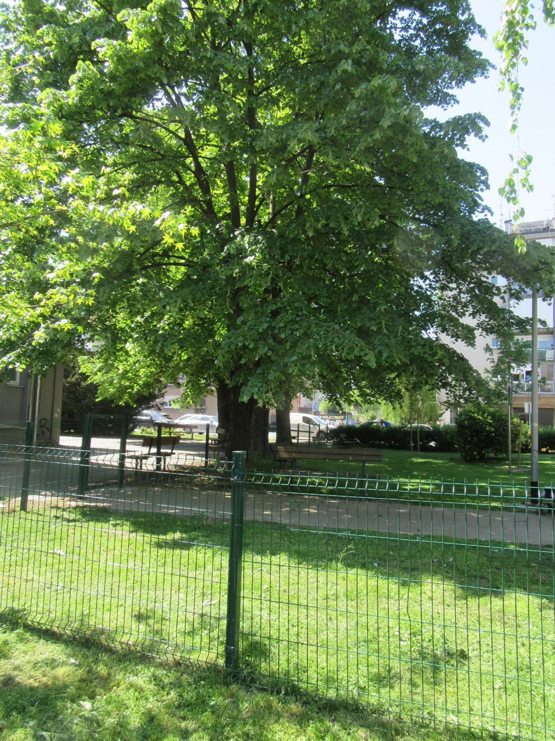 Apartman Irène
