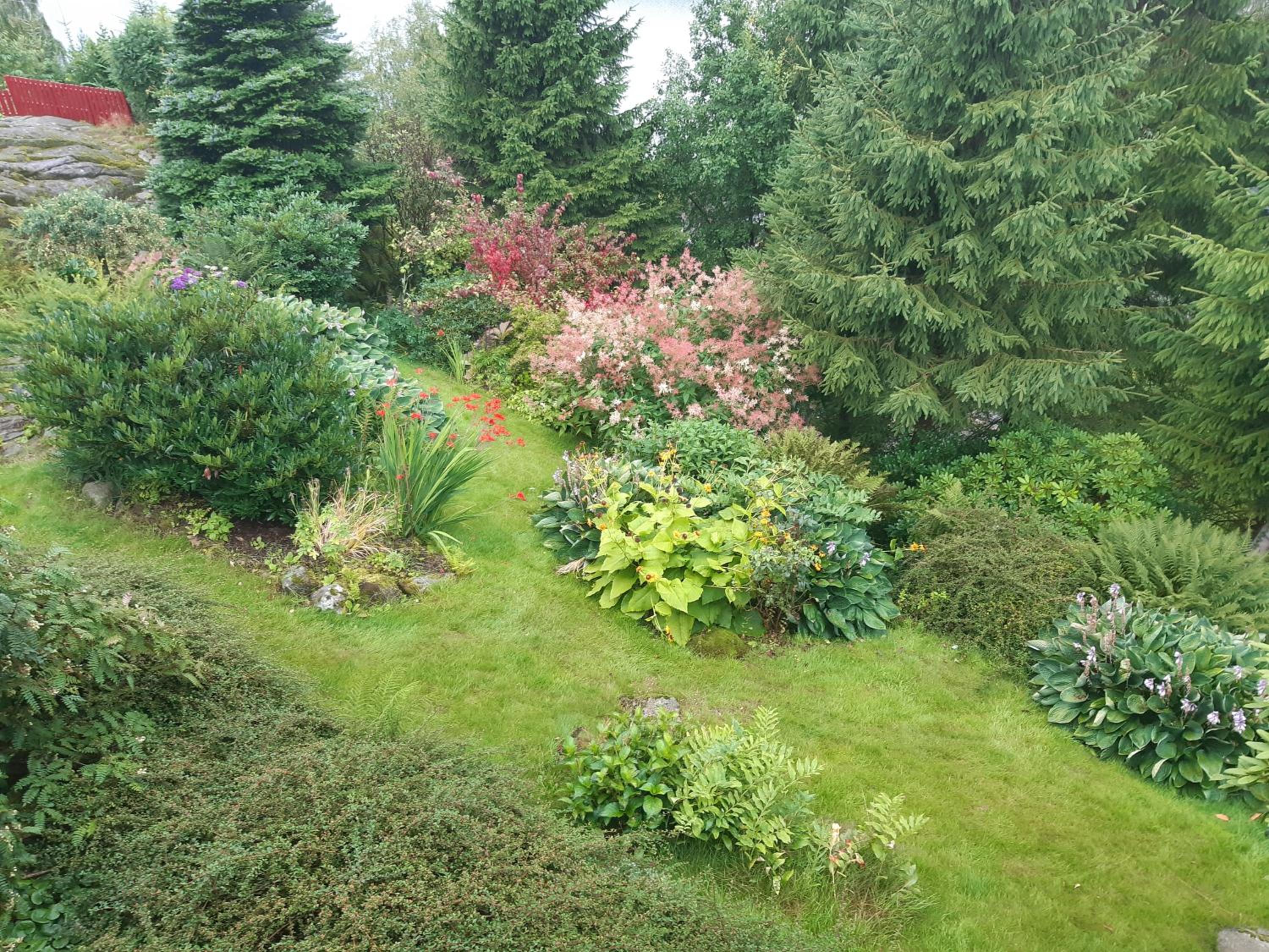 Photo 22