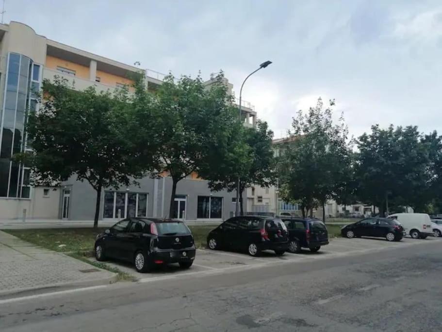 Casa Alpi 44 - Two bedroom flat with huge balcony view 2