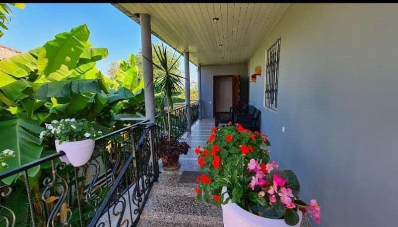 Ios Guest House view 5