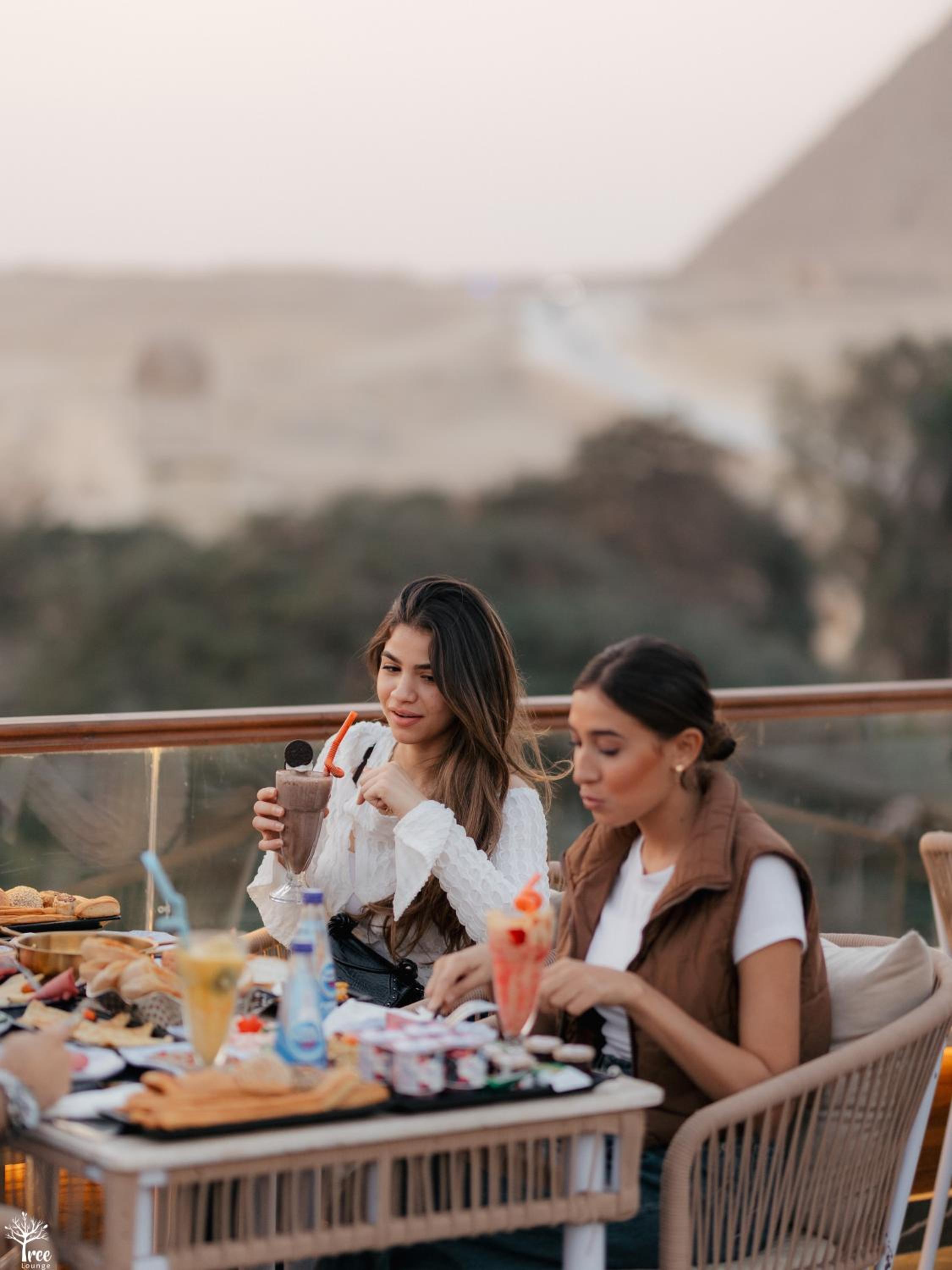 Tree Lounge Pyramids View INN , Sphinx Giza
